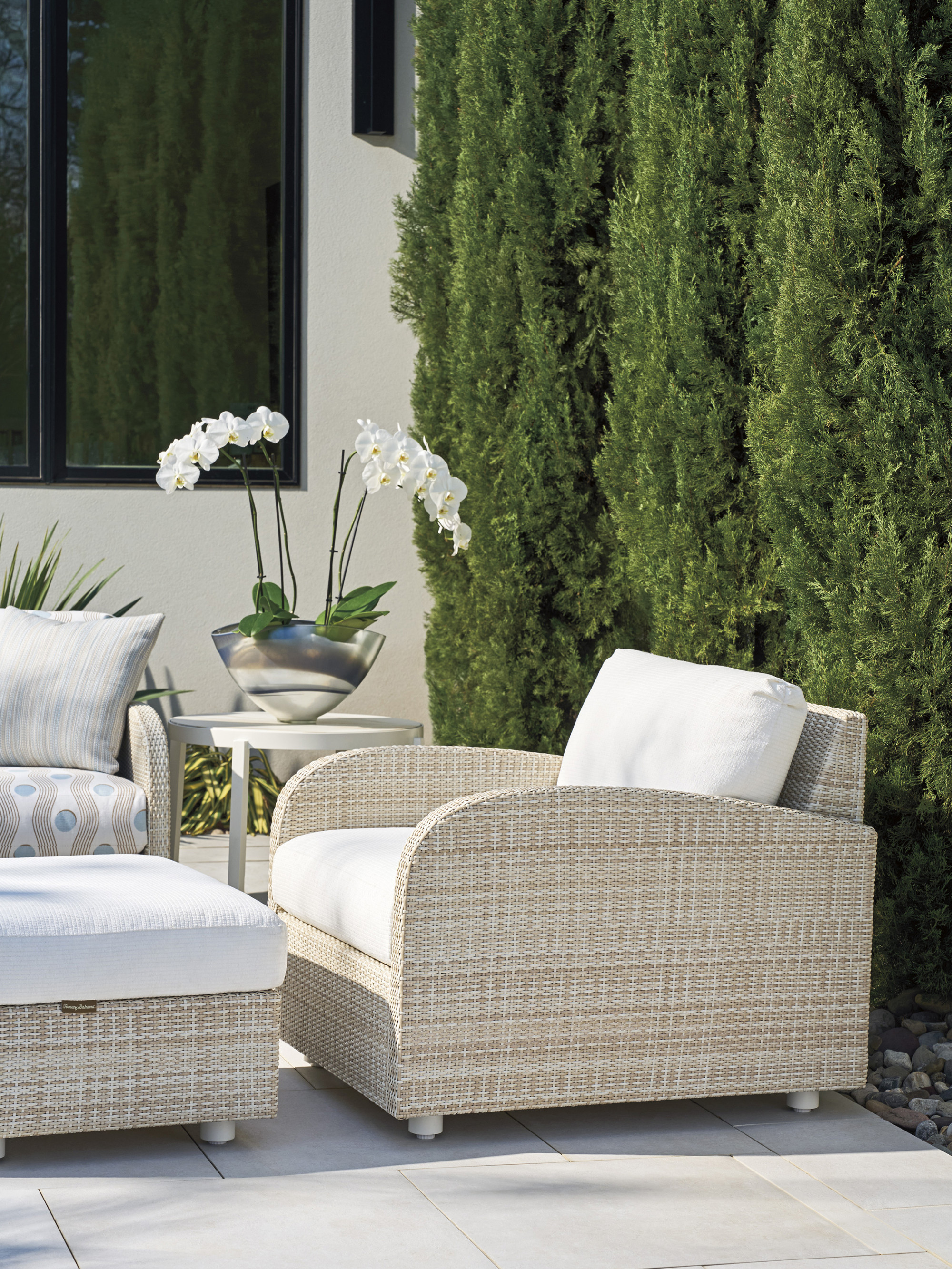 3390_11_44_731211_WS